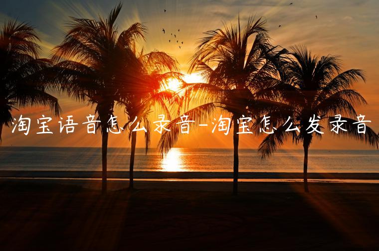 淘寶語(yǔ)音怎么錄音-淘寶怎么發(fā)錄音